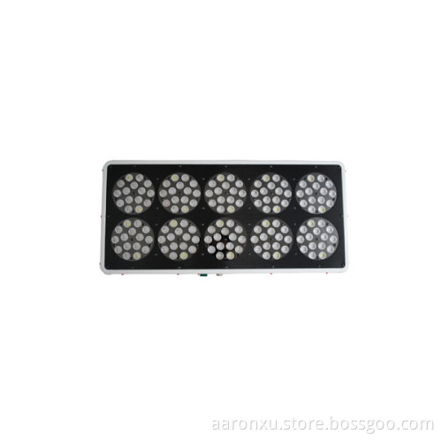 full spectrum Apollo 10 led grow light